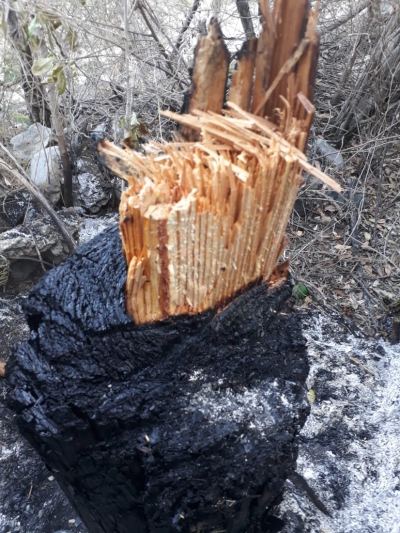 ETED denuncia sabotaje en línea de San José de Ocoa