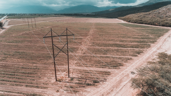 ETED dará mantenimiento a la línea 69 kV KM 15 de Azua - Cruce de Ocoa